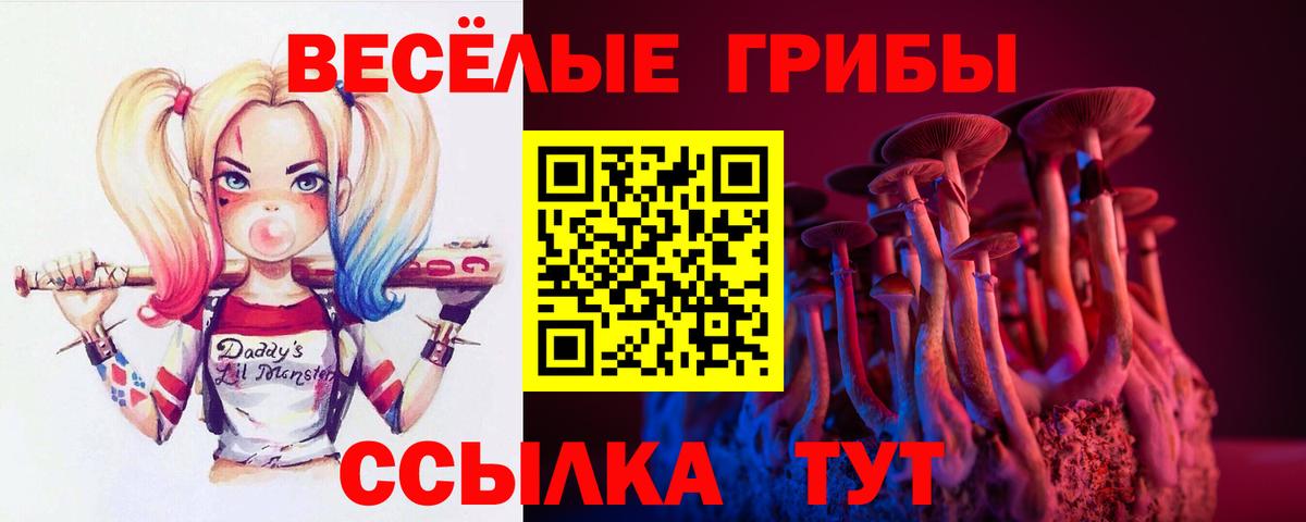 Псилоцибиновые грибы мухоморы  Вход с VPN  Псилоцибиновые грибы GOLDEN TEACHER  Барнаул 